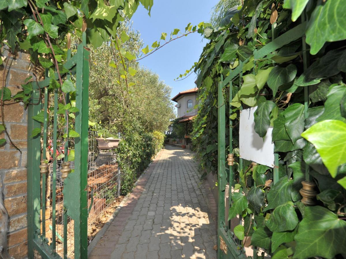 Alice Wonderland Home Nea Flogita Halkidiki Esterno foto
